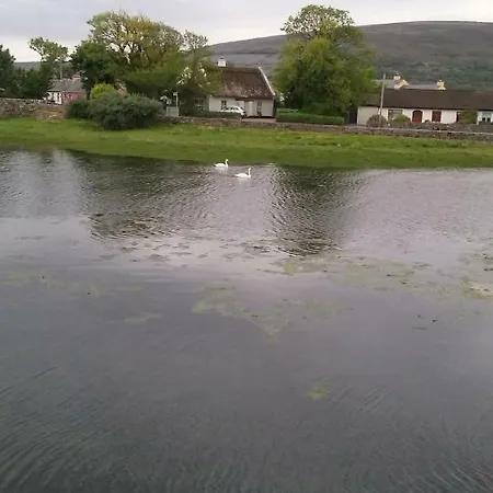 Gentian Ballyvaughan